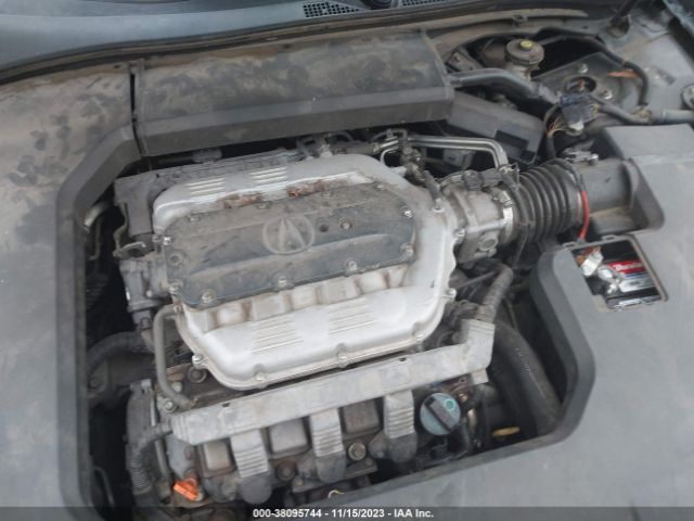 Photo 9 VIN: 19UUA9F51AA004982 - ACURA TL 