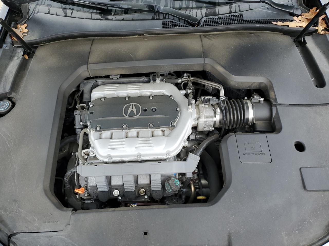 Photo 10 VIN: 19UUA9F51AA006974 - ACURA TL 