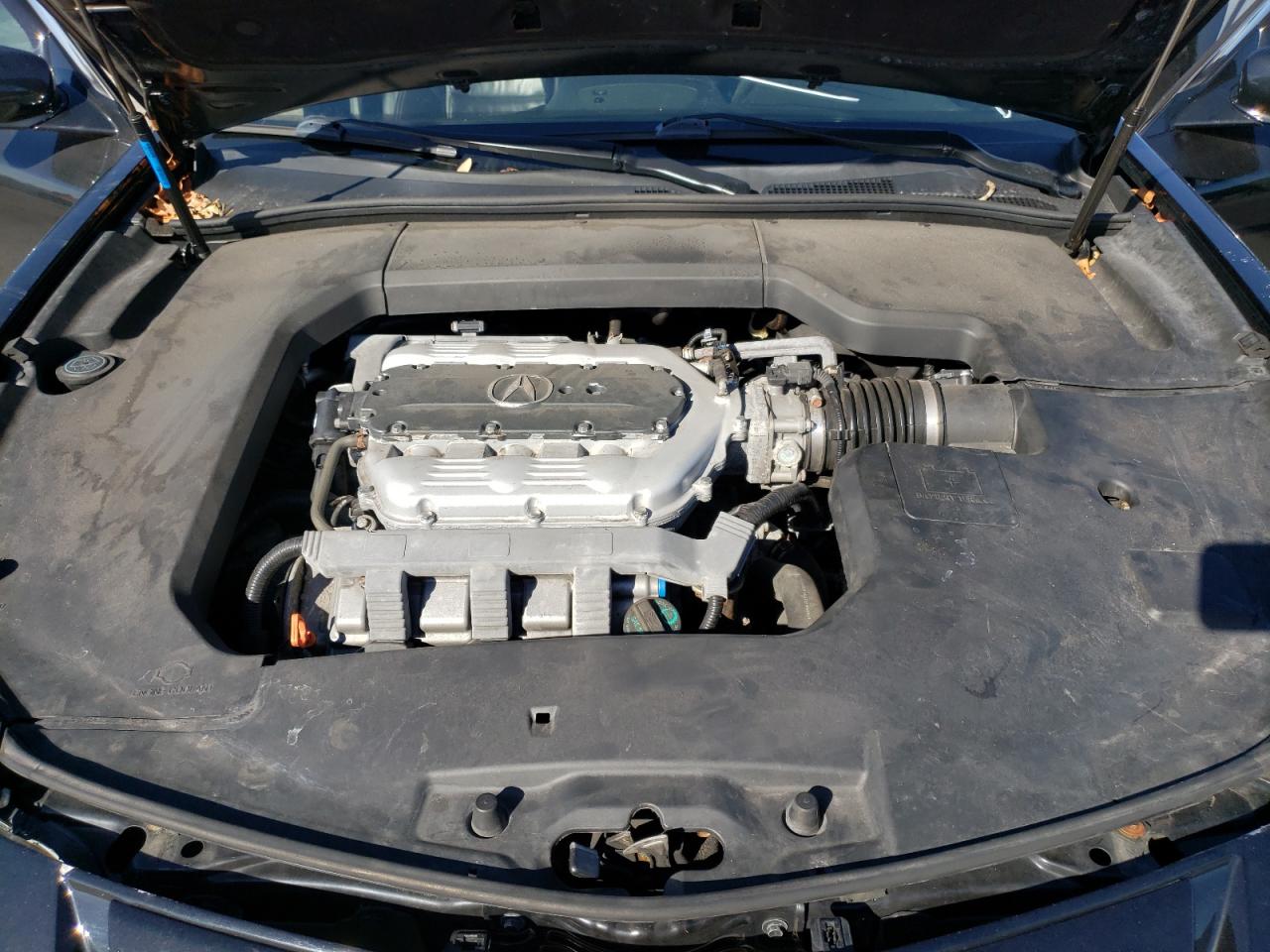 Photo 10 VIN: 19UUA9F52BA002482 - ACURA TL 