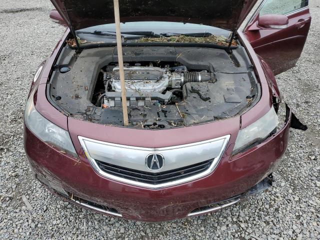 Photo 10 VIN: 19UUA9F52DA000508 - ACURA TL 