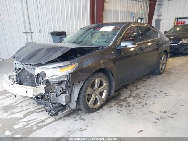 Photo 1 VIN: 19UUA9F52DA004073 - ACURA TL 