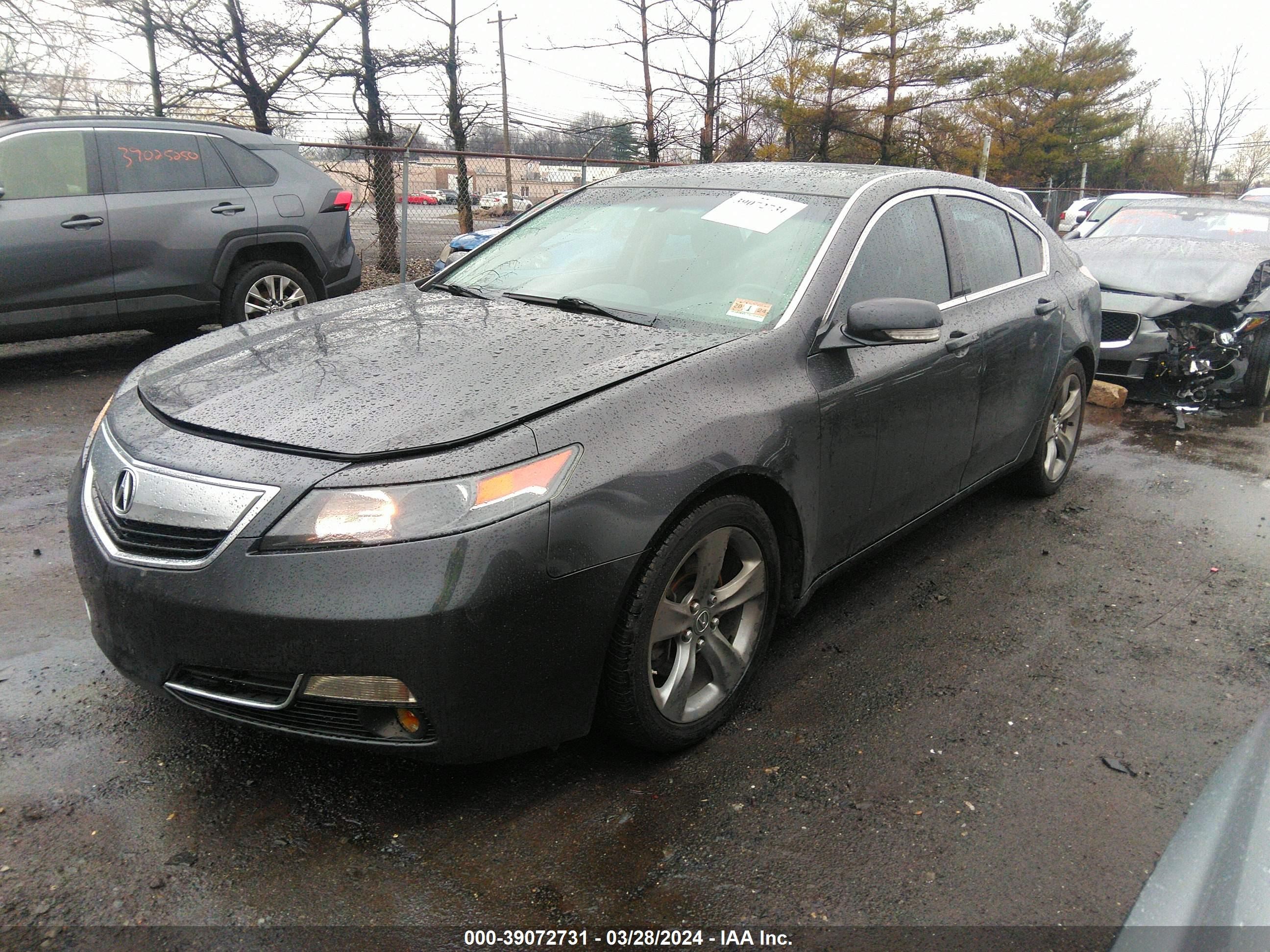 Photo 1 VIN: 19UUA9F52EA000655 - ACURA TL 