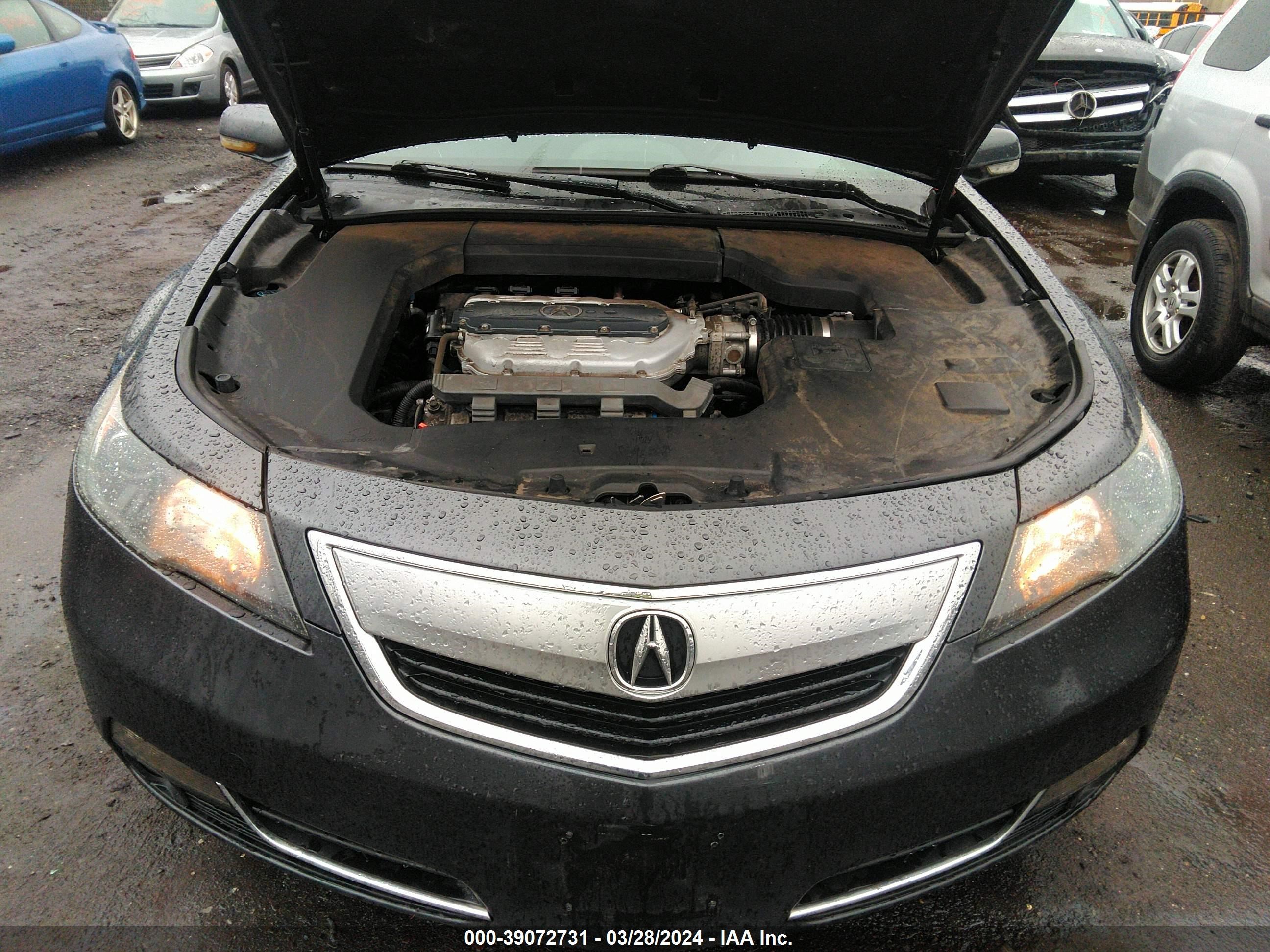 Photo 9 VIN: 19UUA9F52EA000655 - ACURA TL 