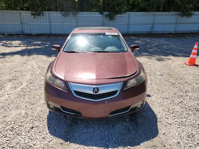 Photo 4 VIN: 19UUA9F53CA006042 - ACURA TL 