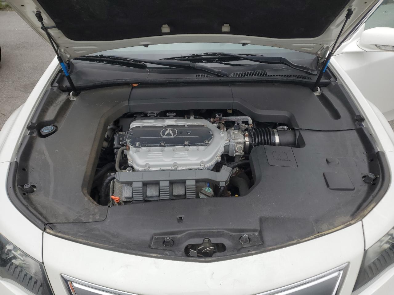 Photo 10 VIN: 19UUA9F53EA000146 - ACURA TL 