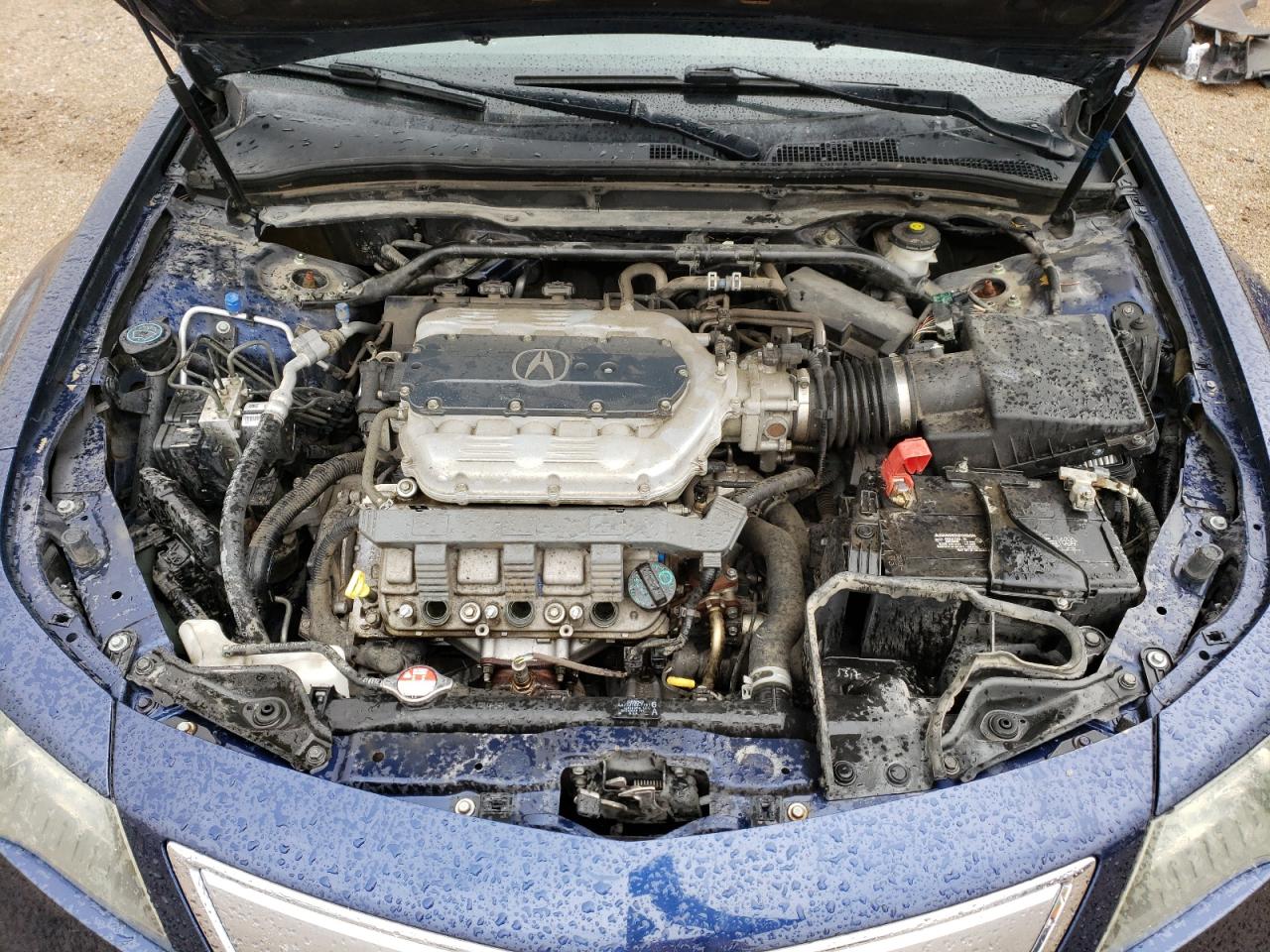 Photo 10 VIN: 19UUA9F53EA002074 - ACURA TL 