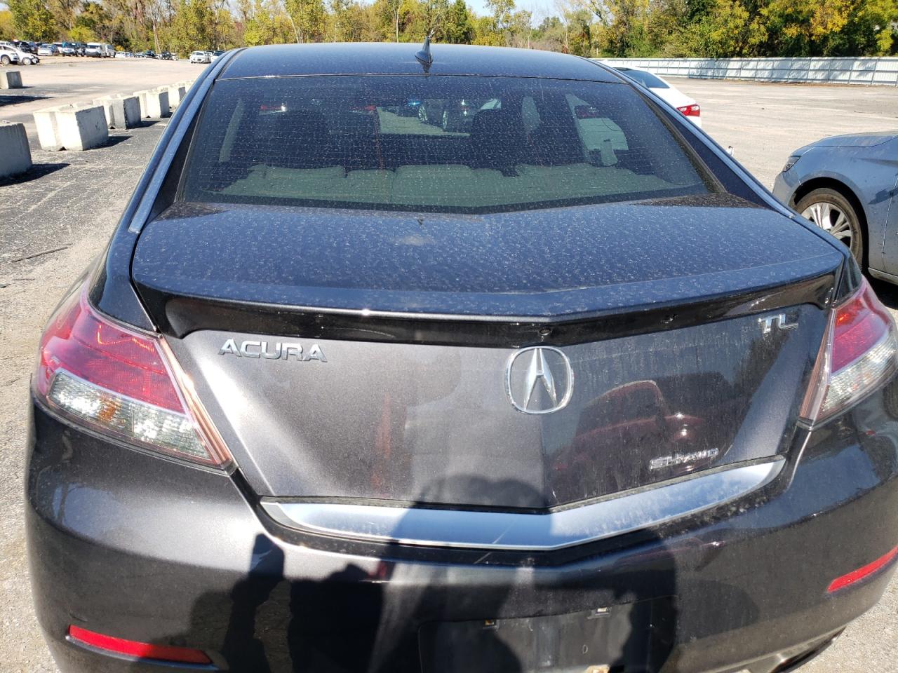 Photo 5 VIN: 19UUA9F54CA006065 - ACURA TL 