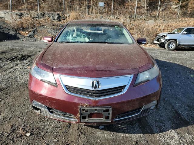 Photo 4 VIN: 19UUA9F54DA004771 - ACURA TL TECH 