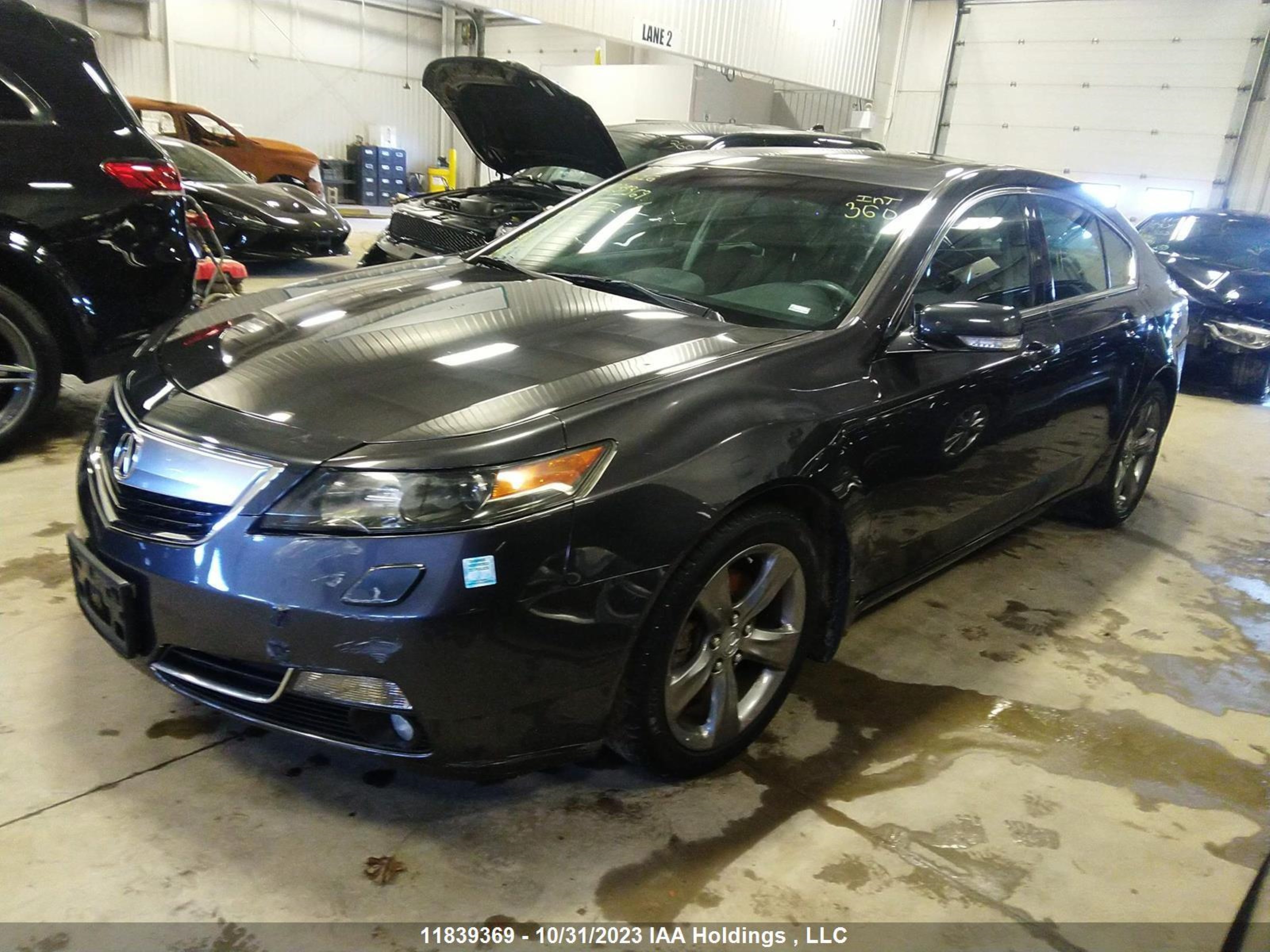 Photo 1 VIN: 19UUA9F54EA800695 - ACURA TL 