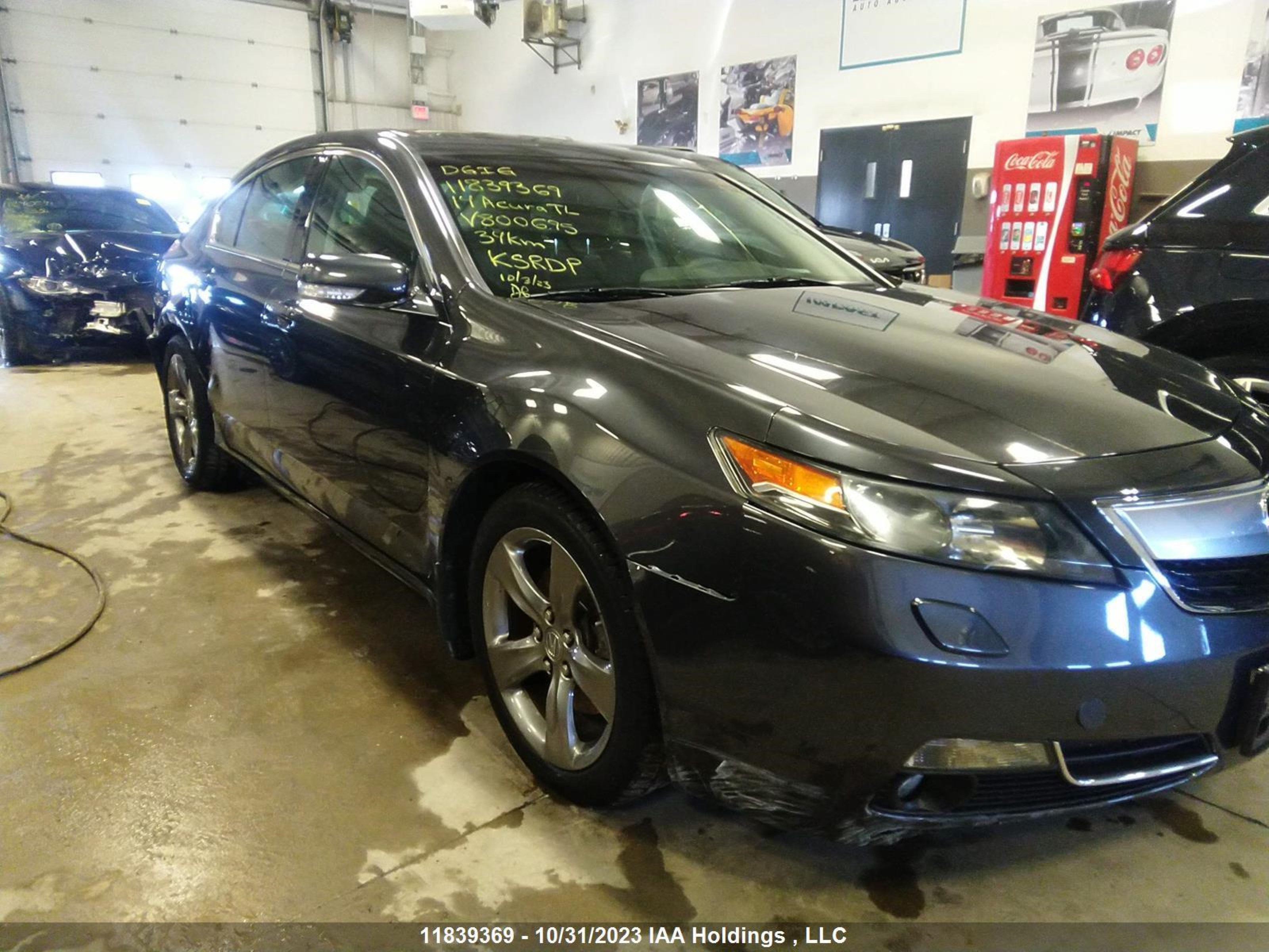 Photo 5 VIN: 19UUA9F54EA800695 - ACURA TL 