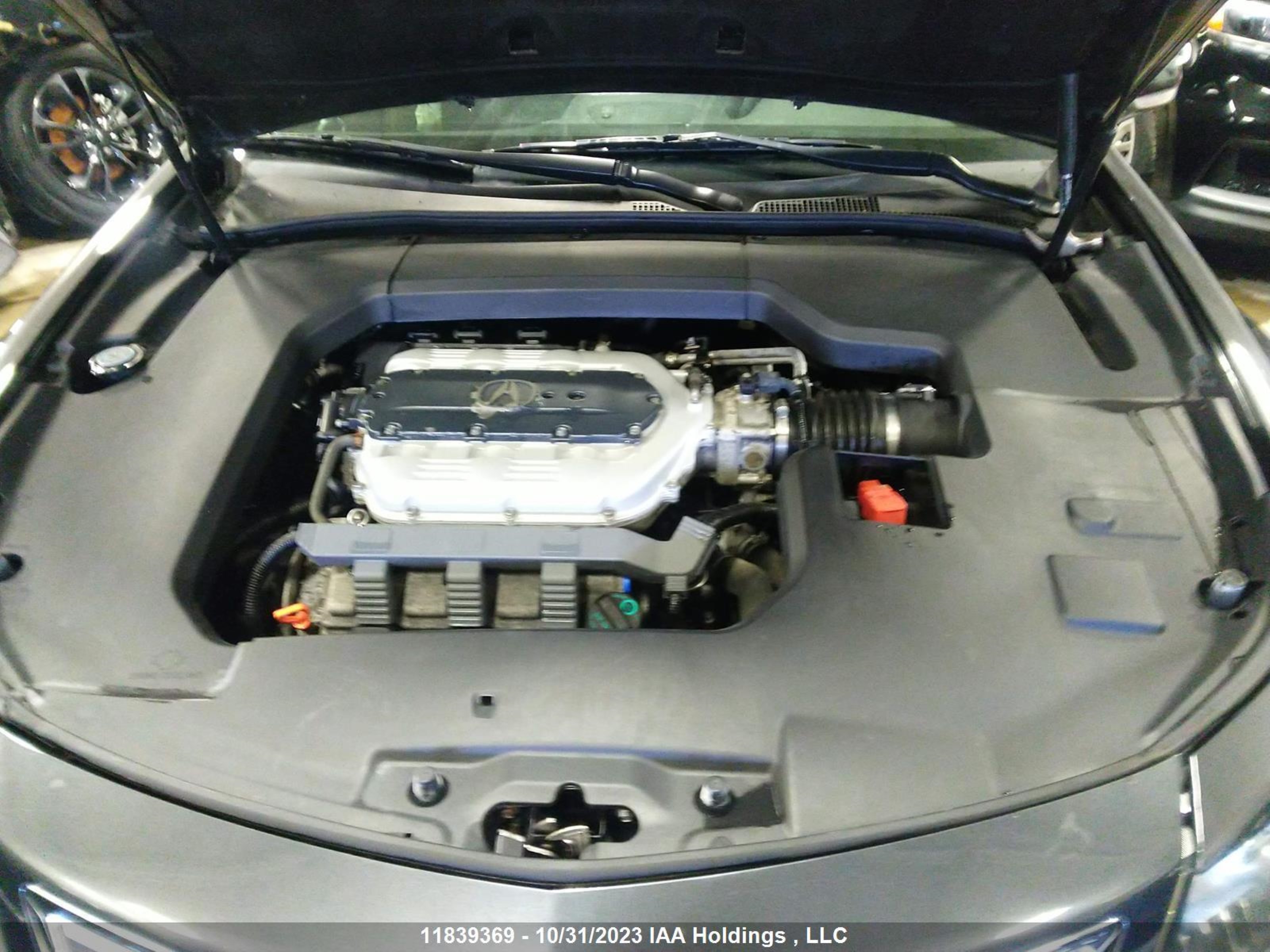 Photo 9 VIN: 19UUA9F54EA800695 - ACURA TL 