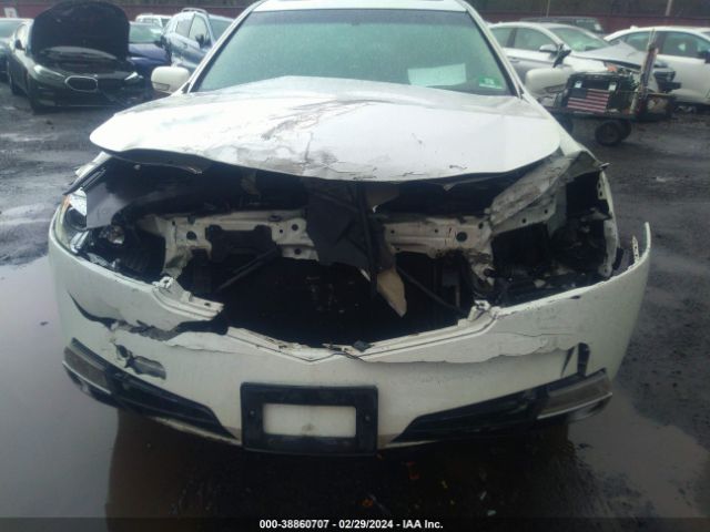 Photo 5 VIN: 19UUA9F55AA008937 - ACURA TL 