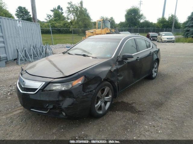 Photo 1 VIN: 19UUA9F55DA002169 - ACURA TL 