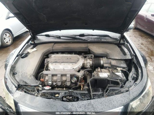 Photo 9 VIN: 19UUA9F55DA002169 - ACURA TL 