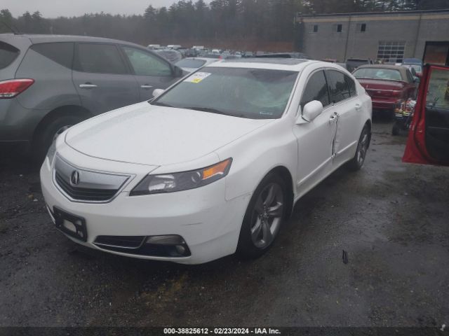 Photo 1 VIN: 19UUA9F55EA000827 - ACURA TL 