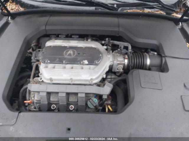 Photo 9 VIN: 19UUA9F55EA000827 - ACURA TL 