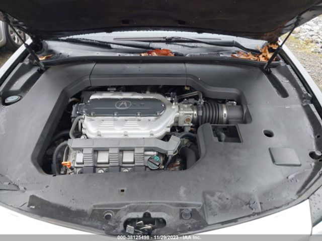 Photo 9 VIN: 19UUA9F56AA006436 - ACURA TL 