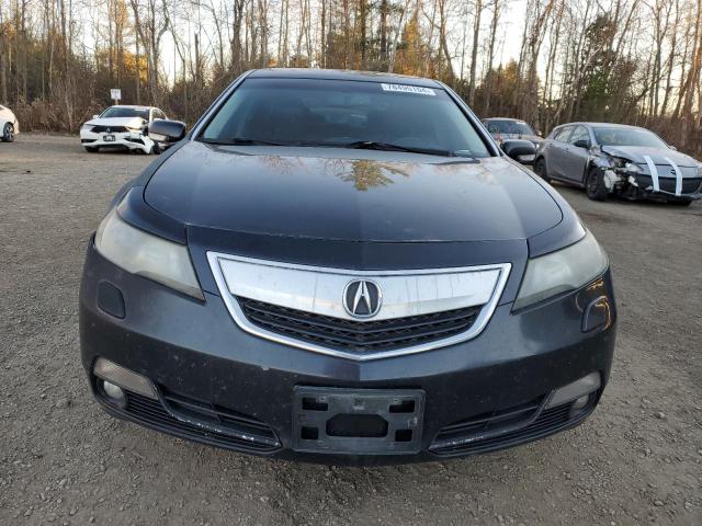 Photo 4 VIN: 19UUA9F56CA803546 - ACURA TL 