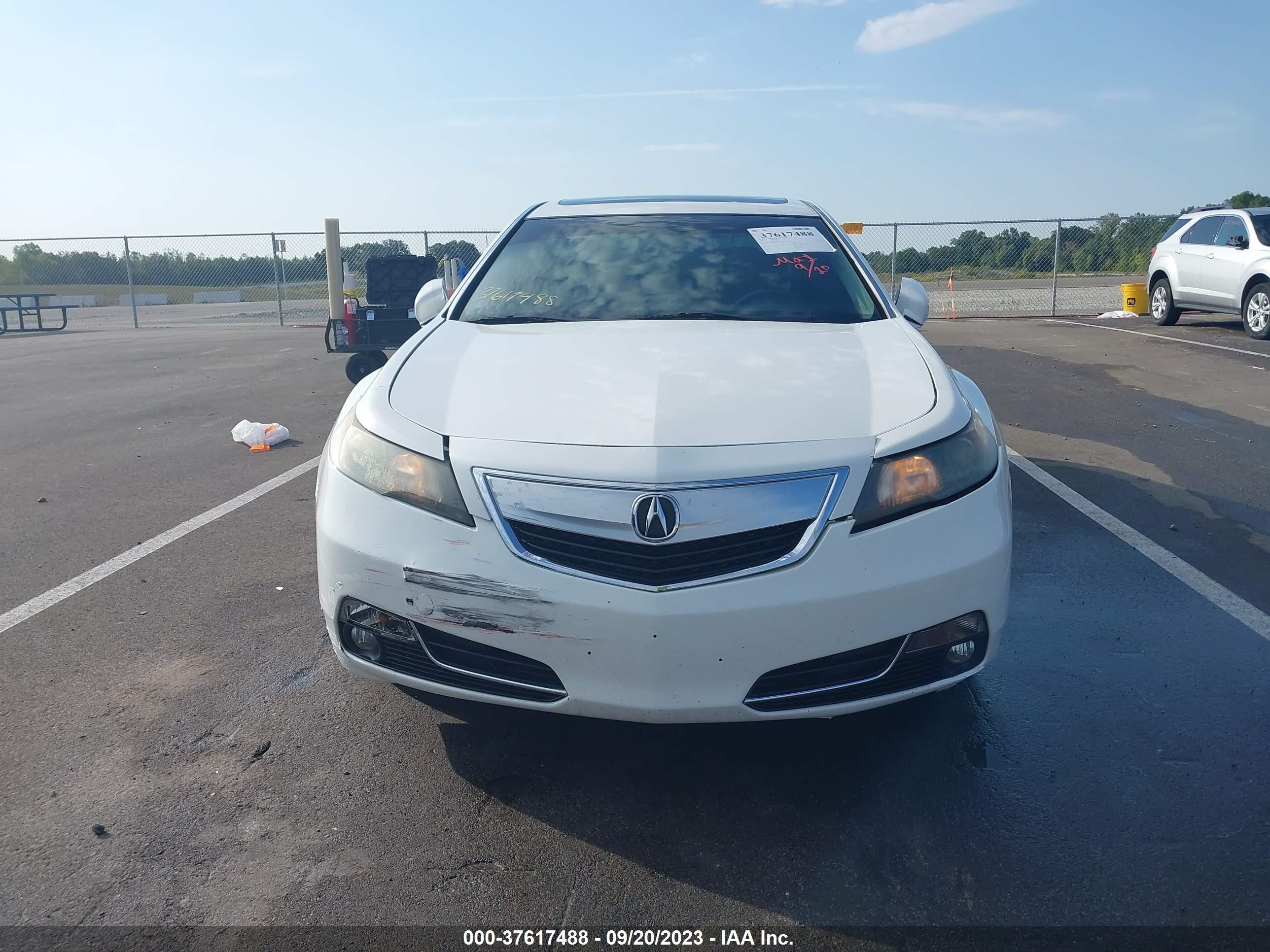 Photo 12 VIN: 19UUA9F56DA004223 - ACURA TL 