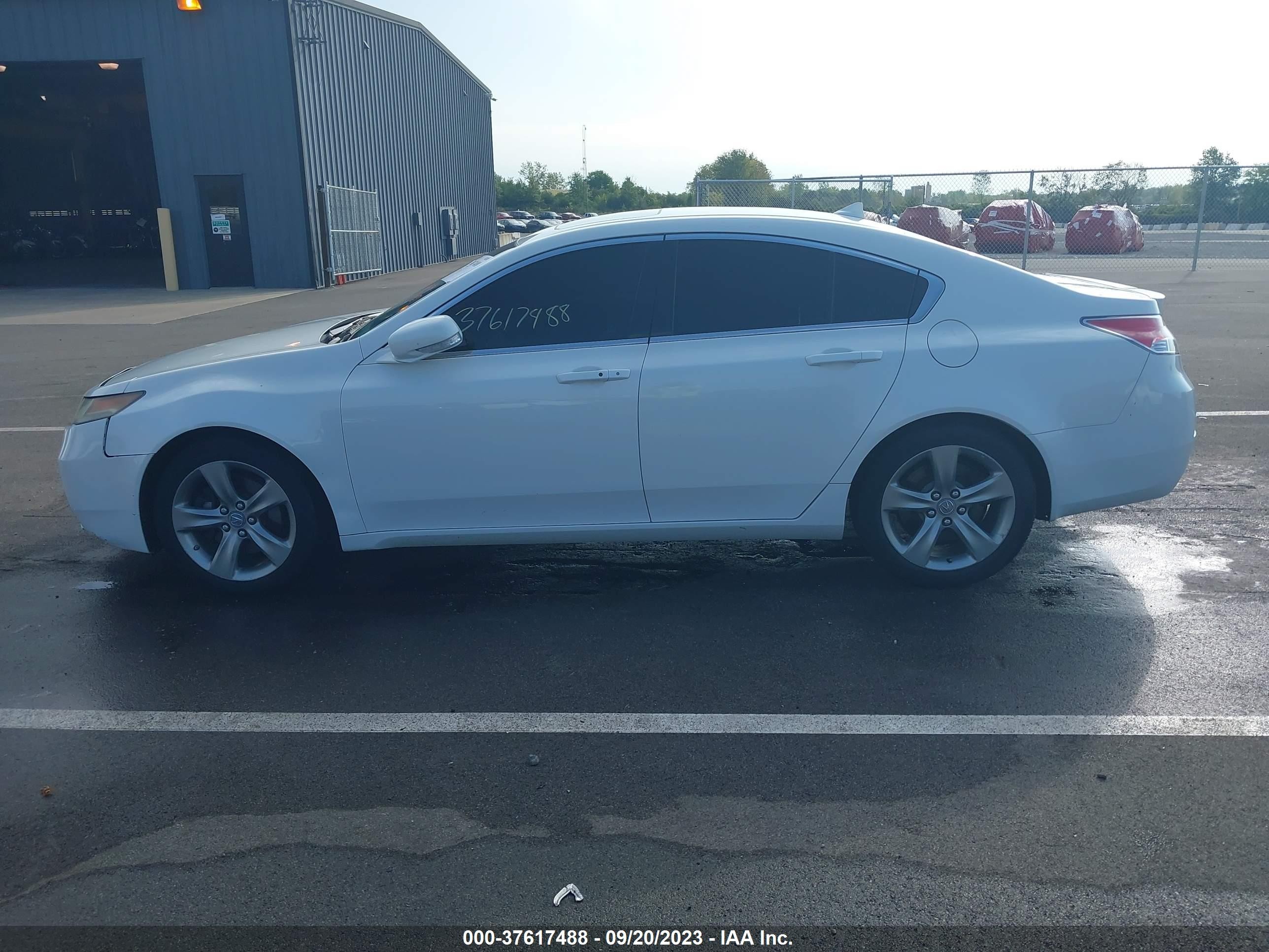 Photo 14 VIN: 19UUA9F56DA004223 - ACURA TL 