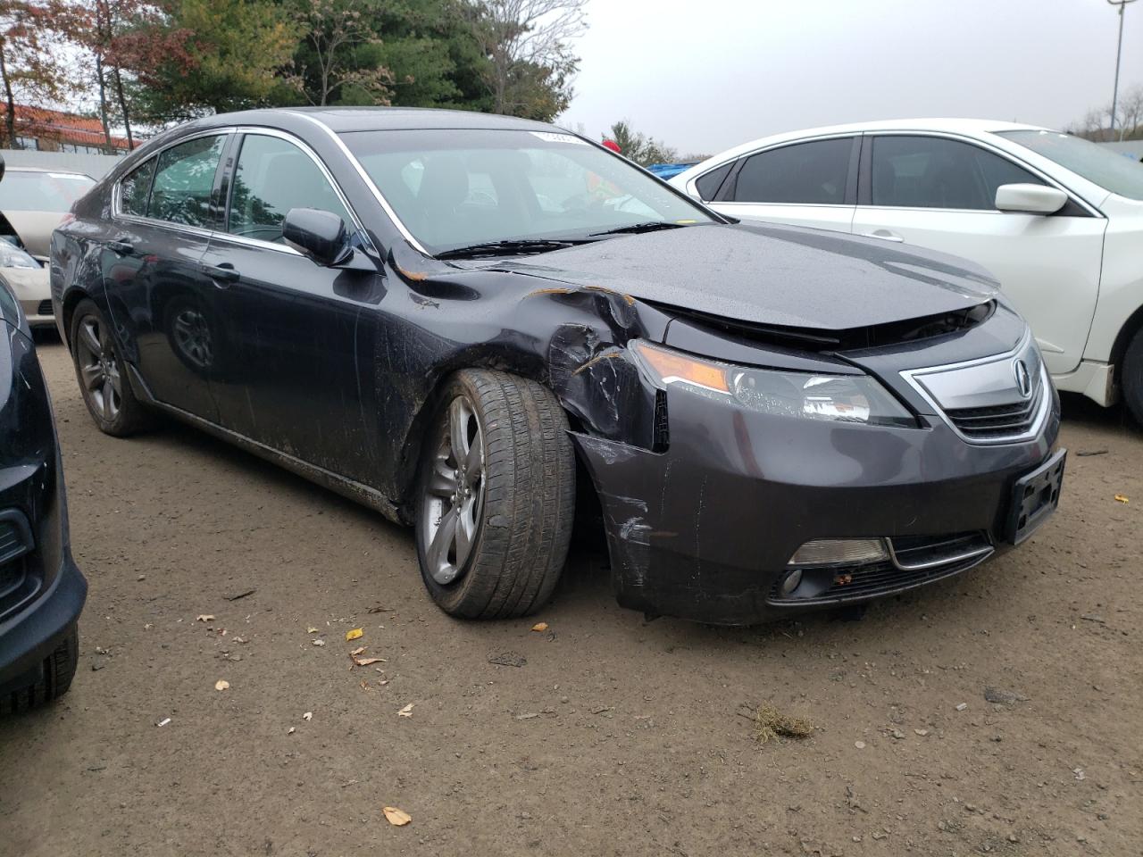 Photo 3 VIN: 19UUA9F57EA000666 - ACURA TL 