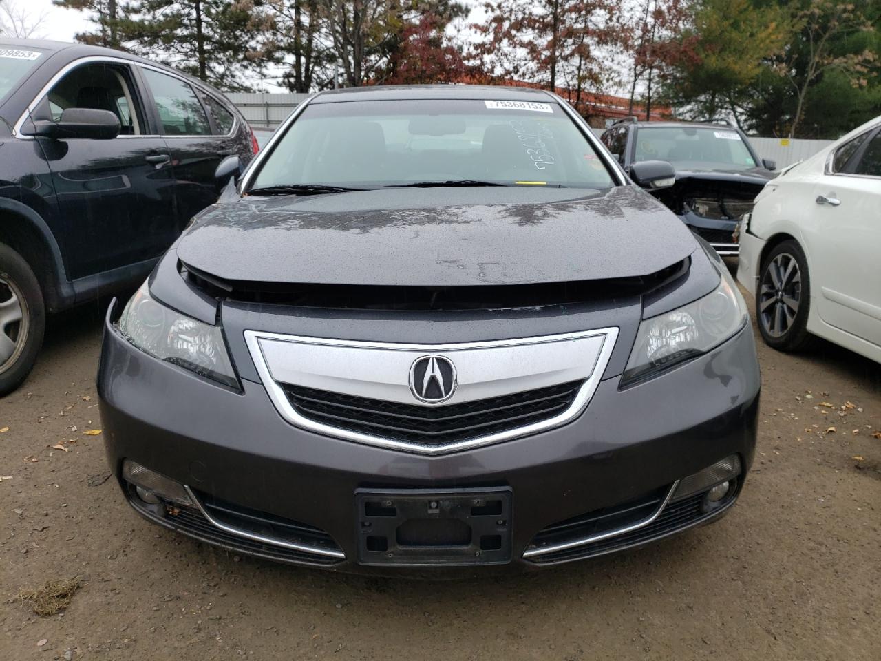 Photo 4 VIN: 19UUA9F57EA000666 - ACURA TL 