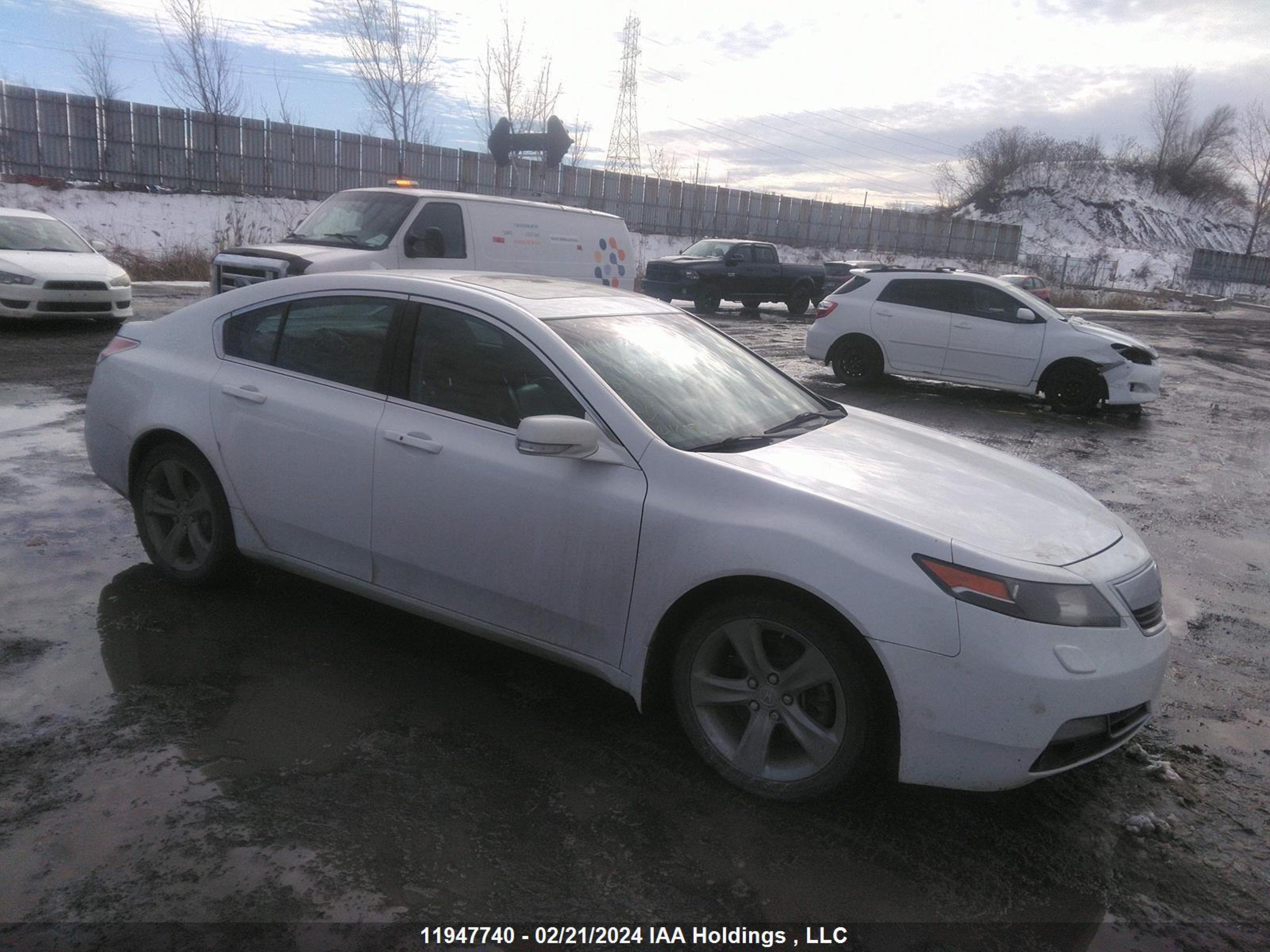 Photo 0 VIN: 19UUA9F57EA800769 - ACURA TL 