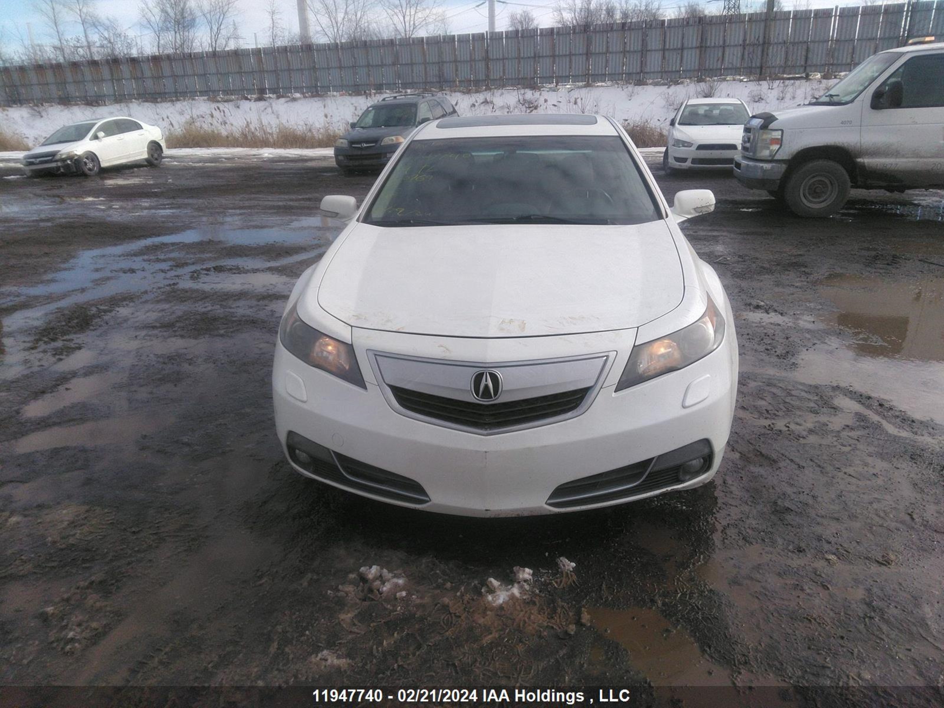 Photo 11 VIN: 19UUA9F57EA800769 - ACURA TL 