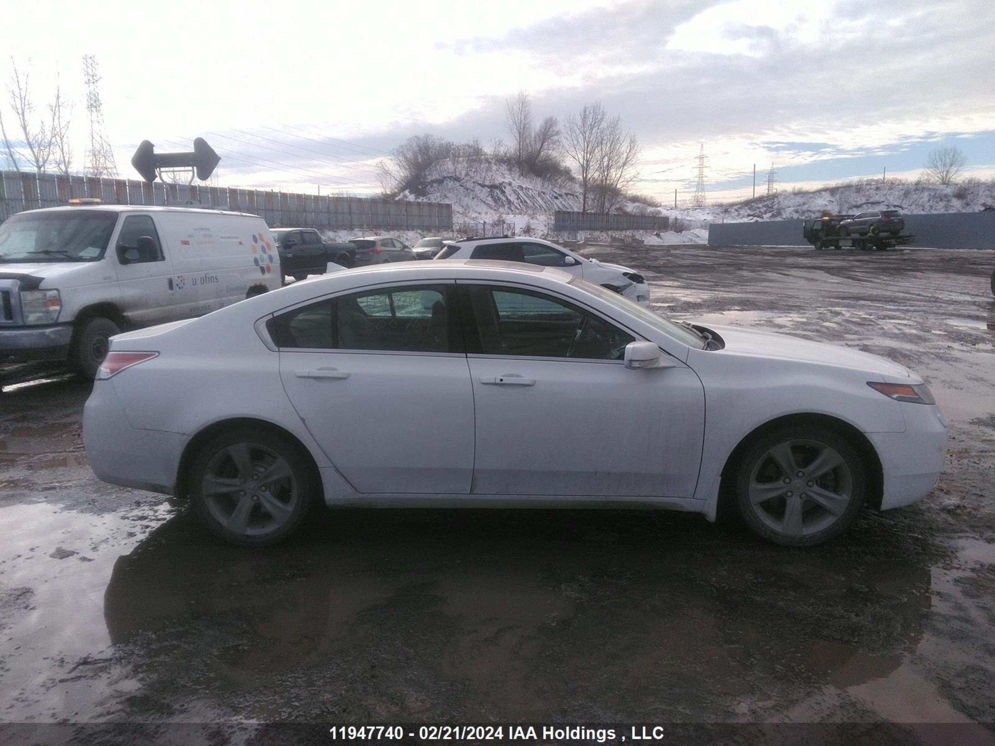 Photo 12 VIN: 19UUA9F57EA800769 - ACURA TL 