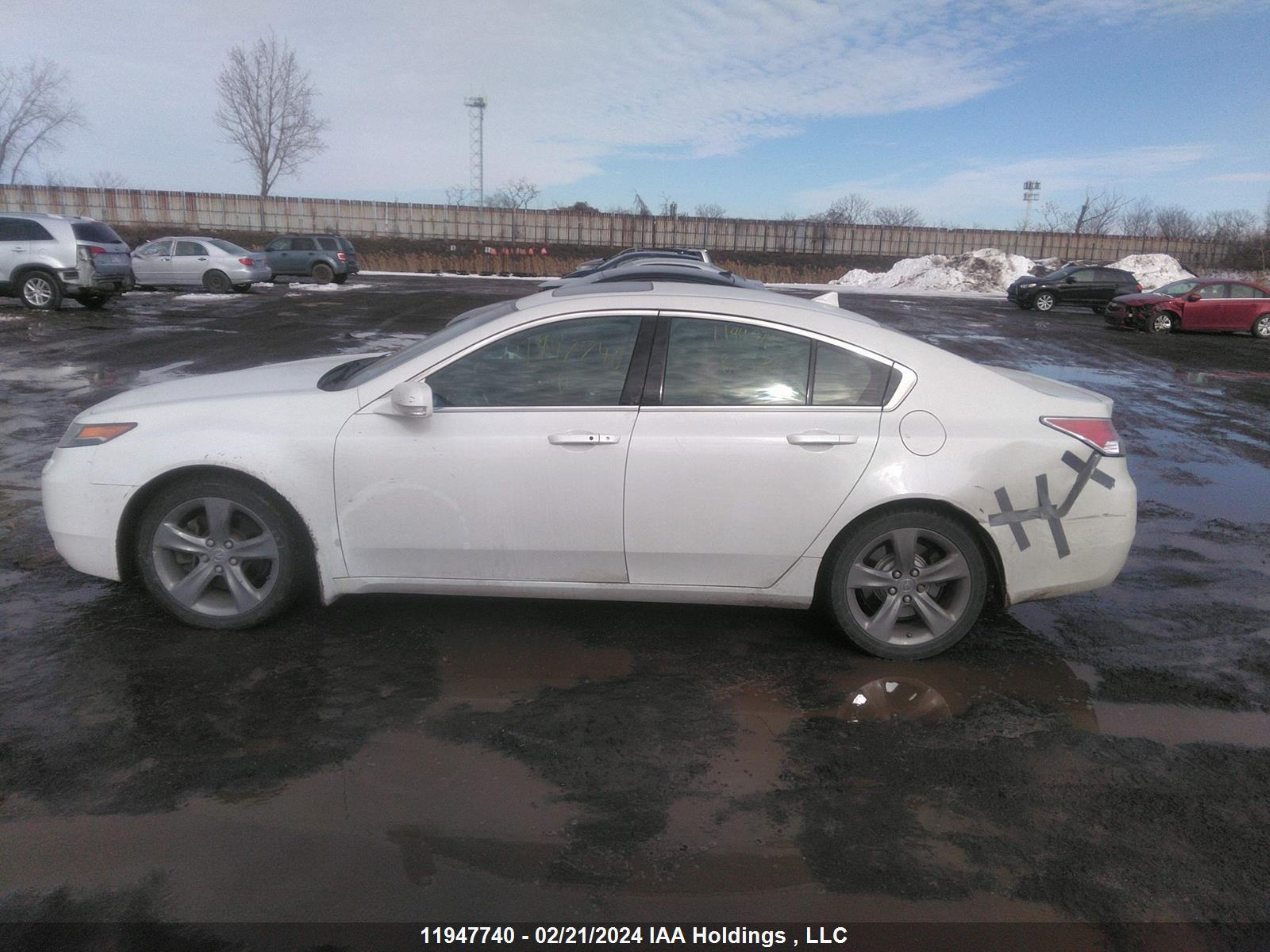 Photo 13 VIN: 19UUA9F57EA800769 - ACURA TL 