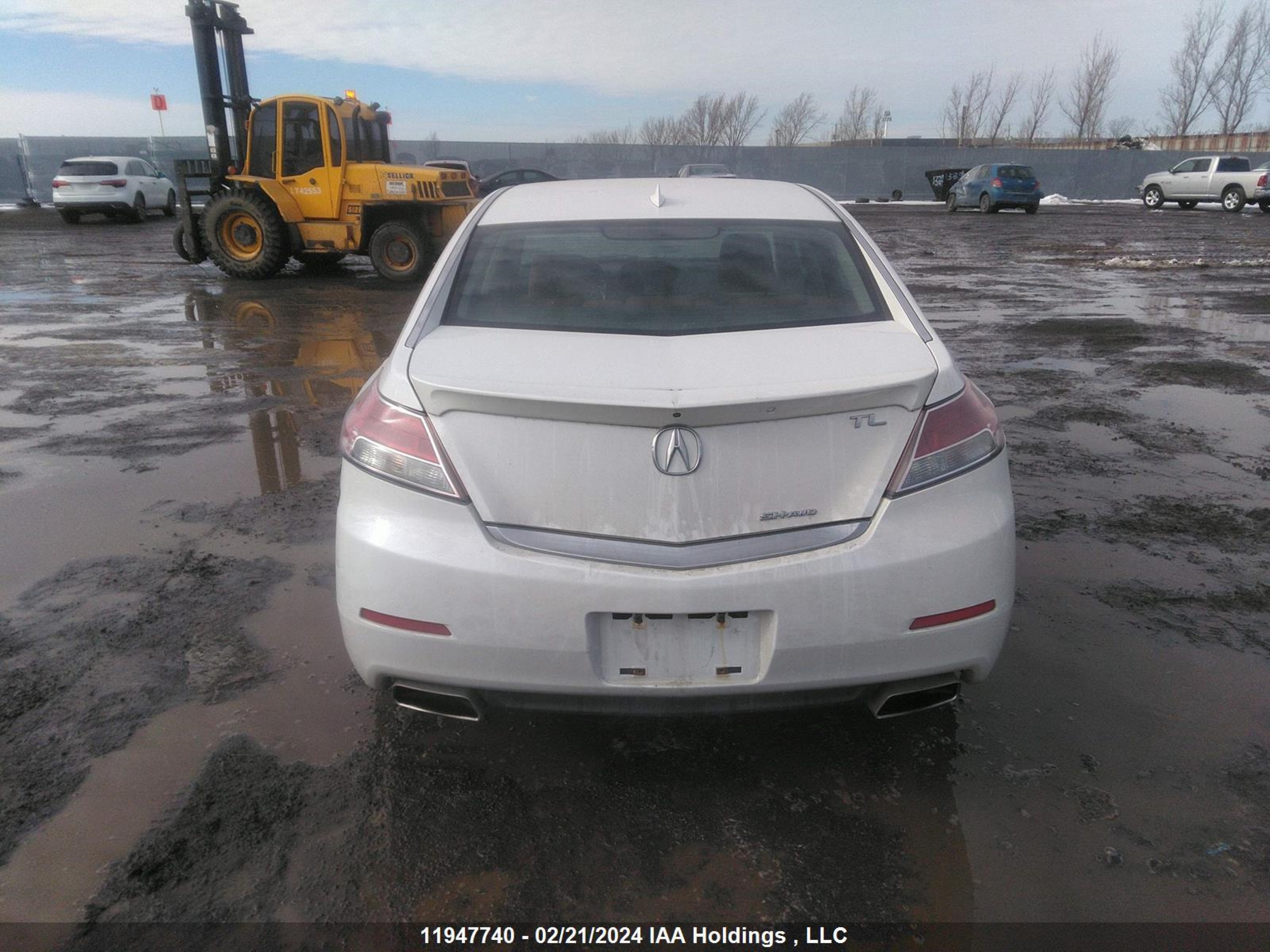 Photo 15 VIN: 19UUA9F57EA800769 - ACURA TL 