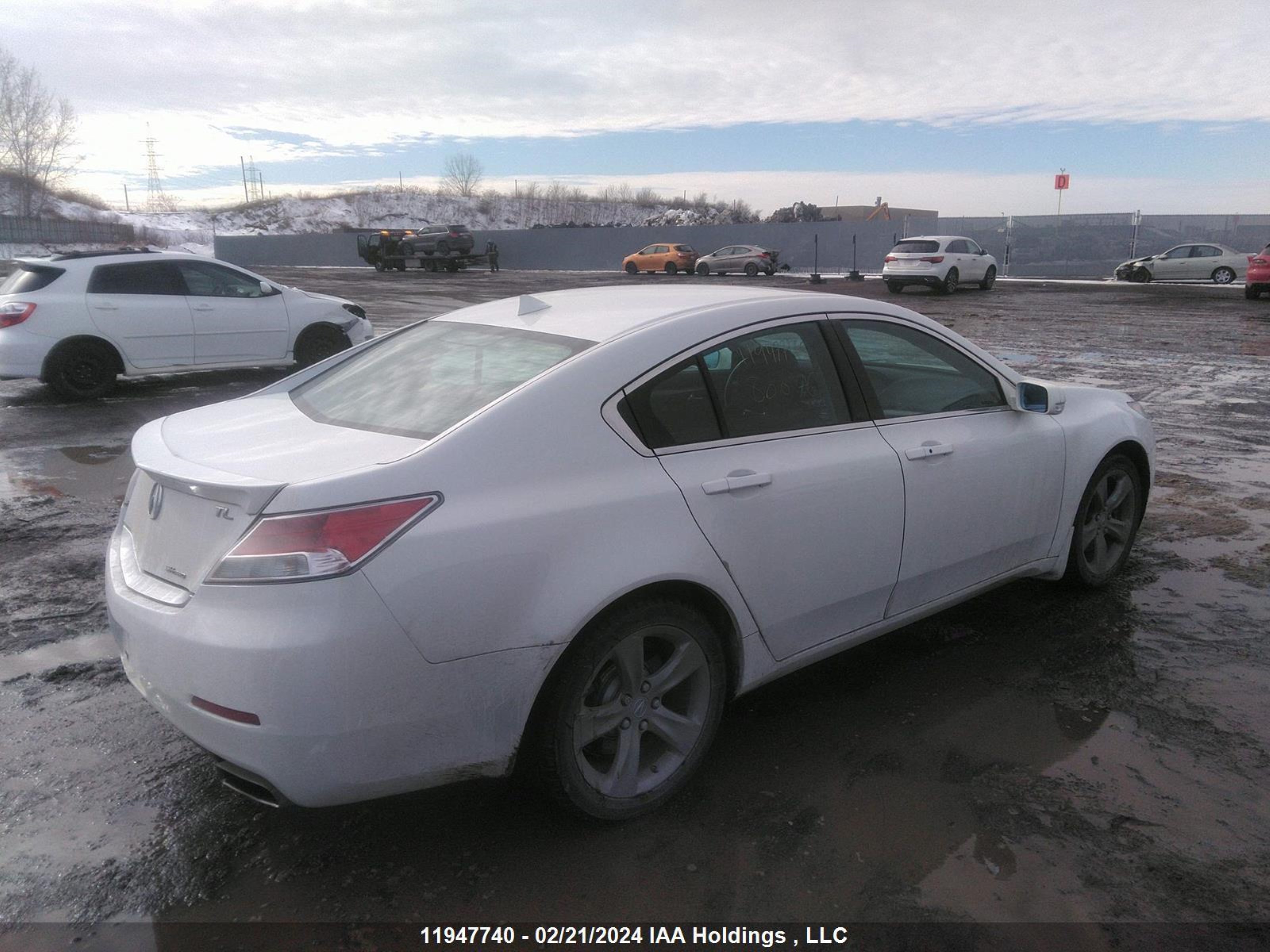 Photo 3 VIN: 19UUA9F57EA800769 - ACURA TL 