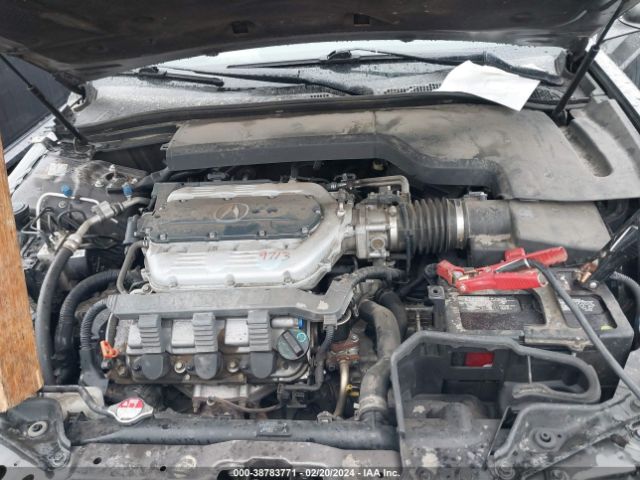 Photo 9 VIN: 19UUA9F58AA001917 - ACURA TL 