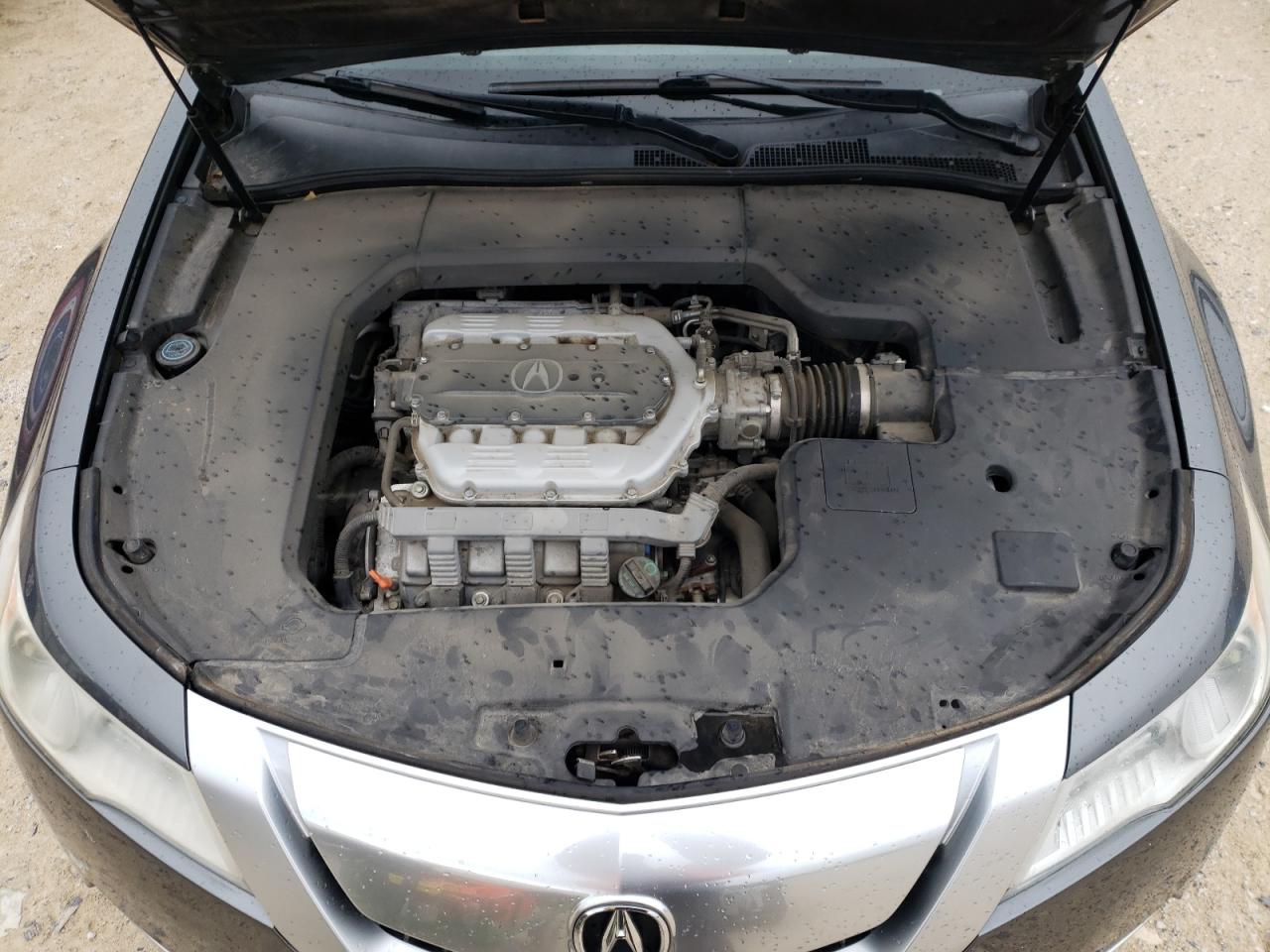 Photo 10 VIN: 19UUA9F58AA002081 - ACURA TL 