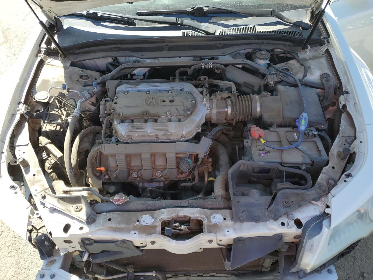 Photo 10 VIN: 19UUA9F58AA004431 - ACURA TL 