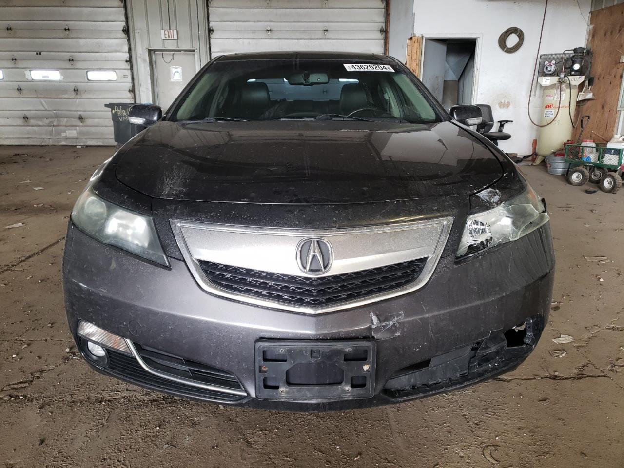 Photo 4 VIN: 19UUA9F58DA003722 - ACURA TL 