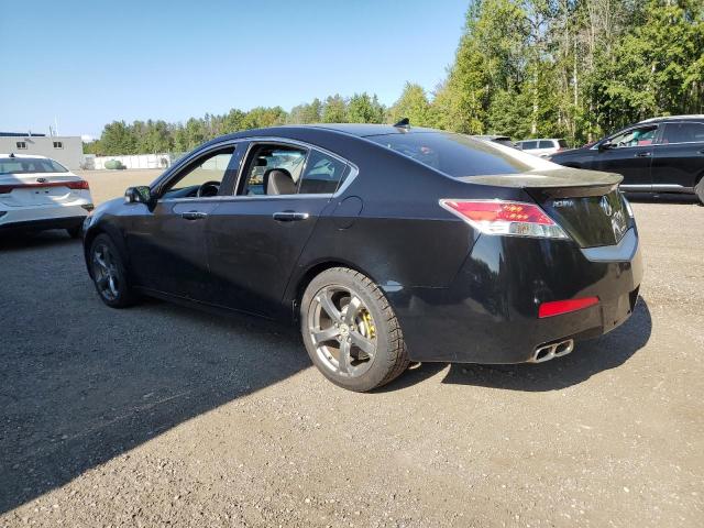 Photo 1 VIN: 19UUA9F59BA800235 - ACURA TL 