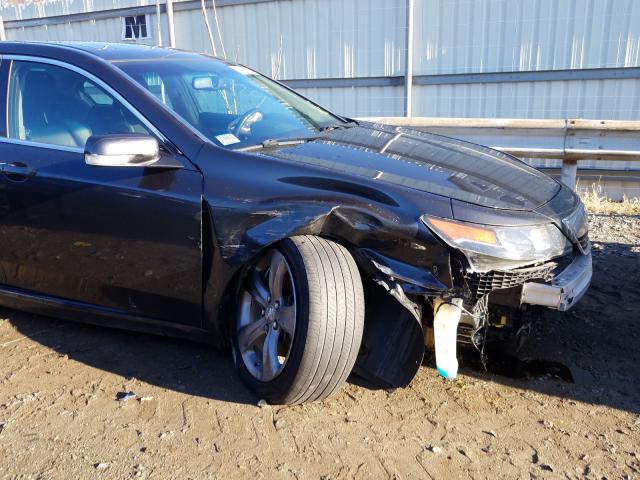 Photo 8 VIN: 19UUA9F59CA004702 - ACURA TL 