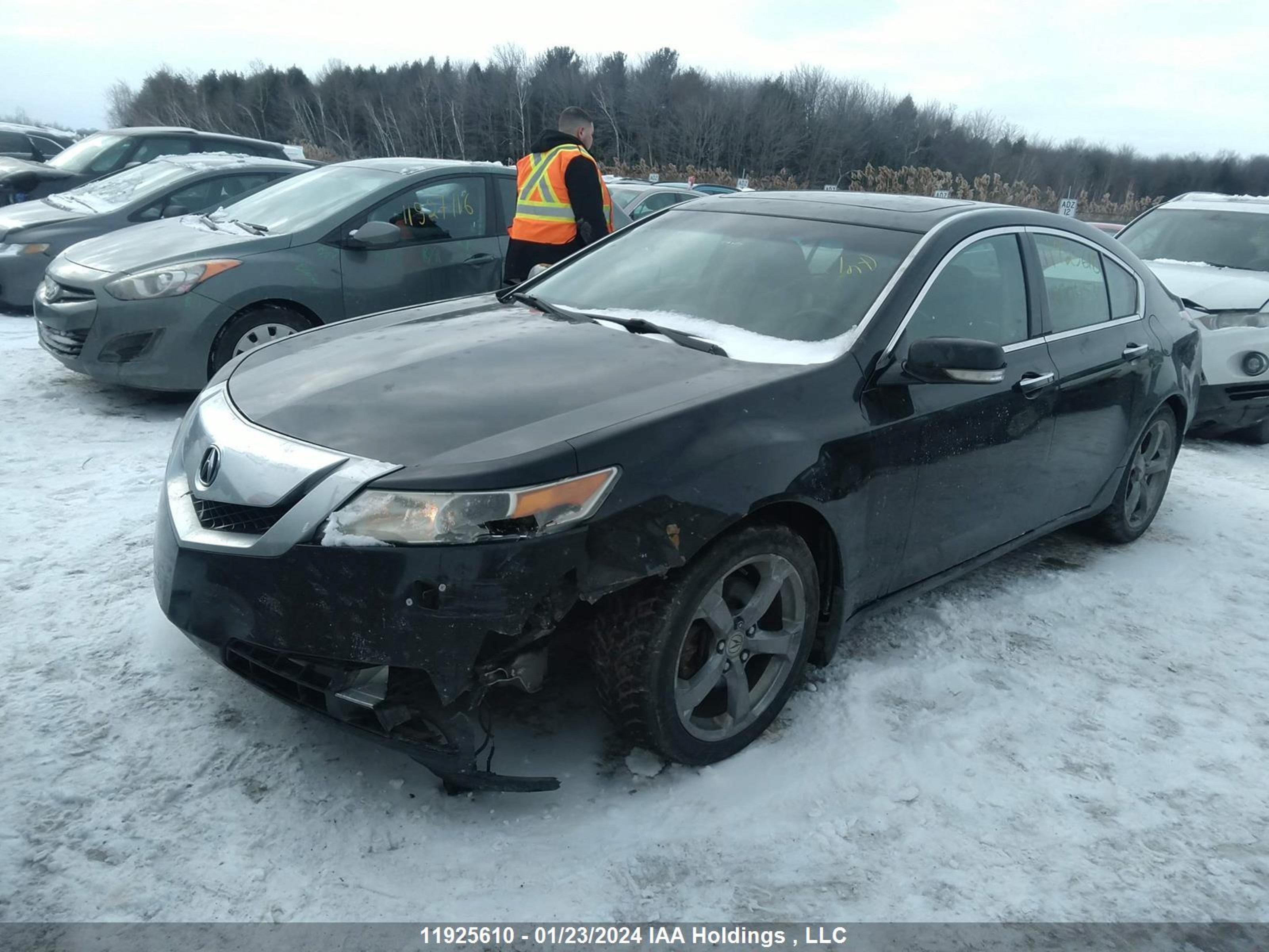 Photo 1 VIN: 19UUA9F5XBA800454 - ACURA TL 