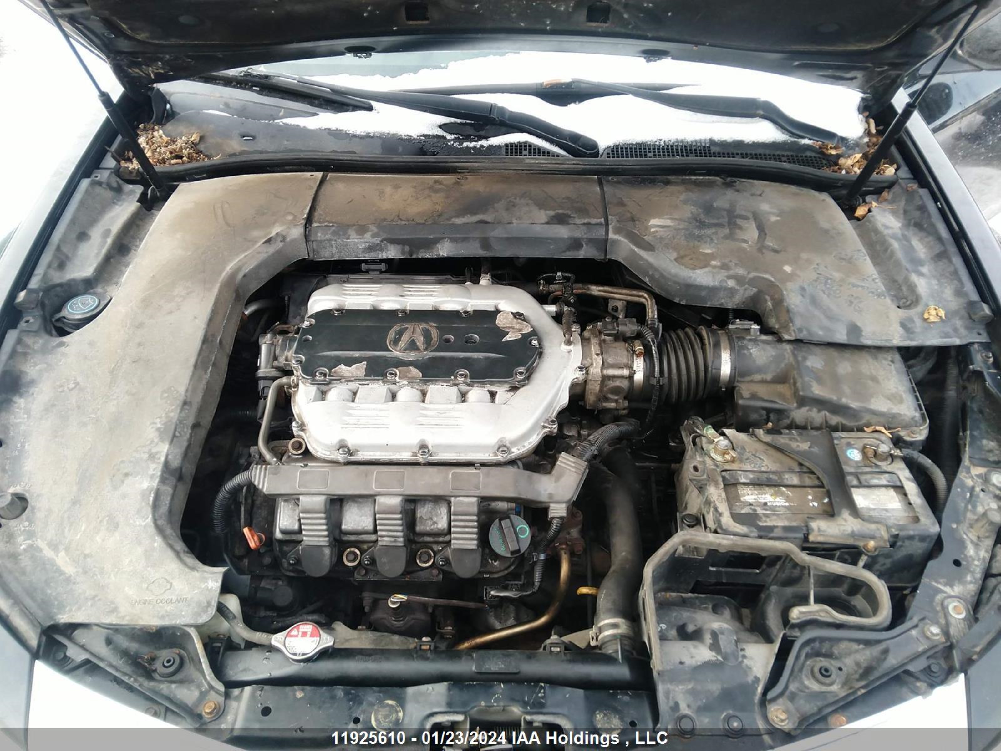 Photo 9 VIN: 19UUA9F5XBA800454 - ACURA TL 