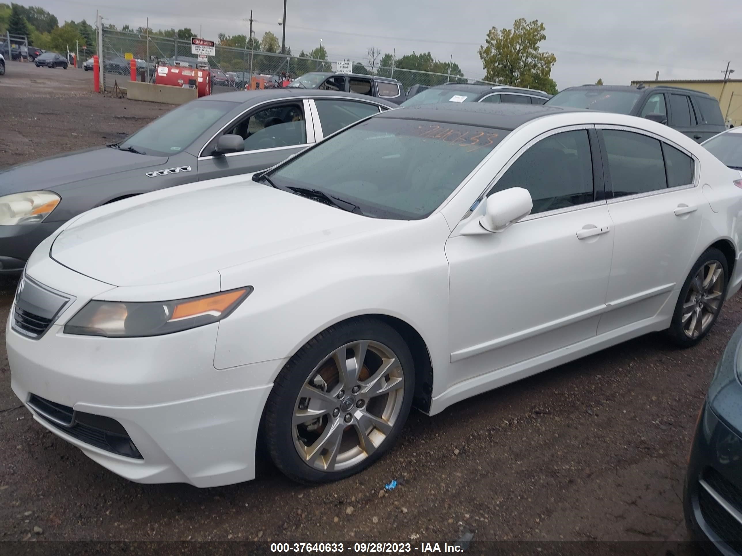 Photo 1 VIN: 19UUA9F71DA000016 - ACURA TL 