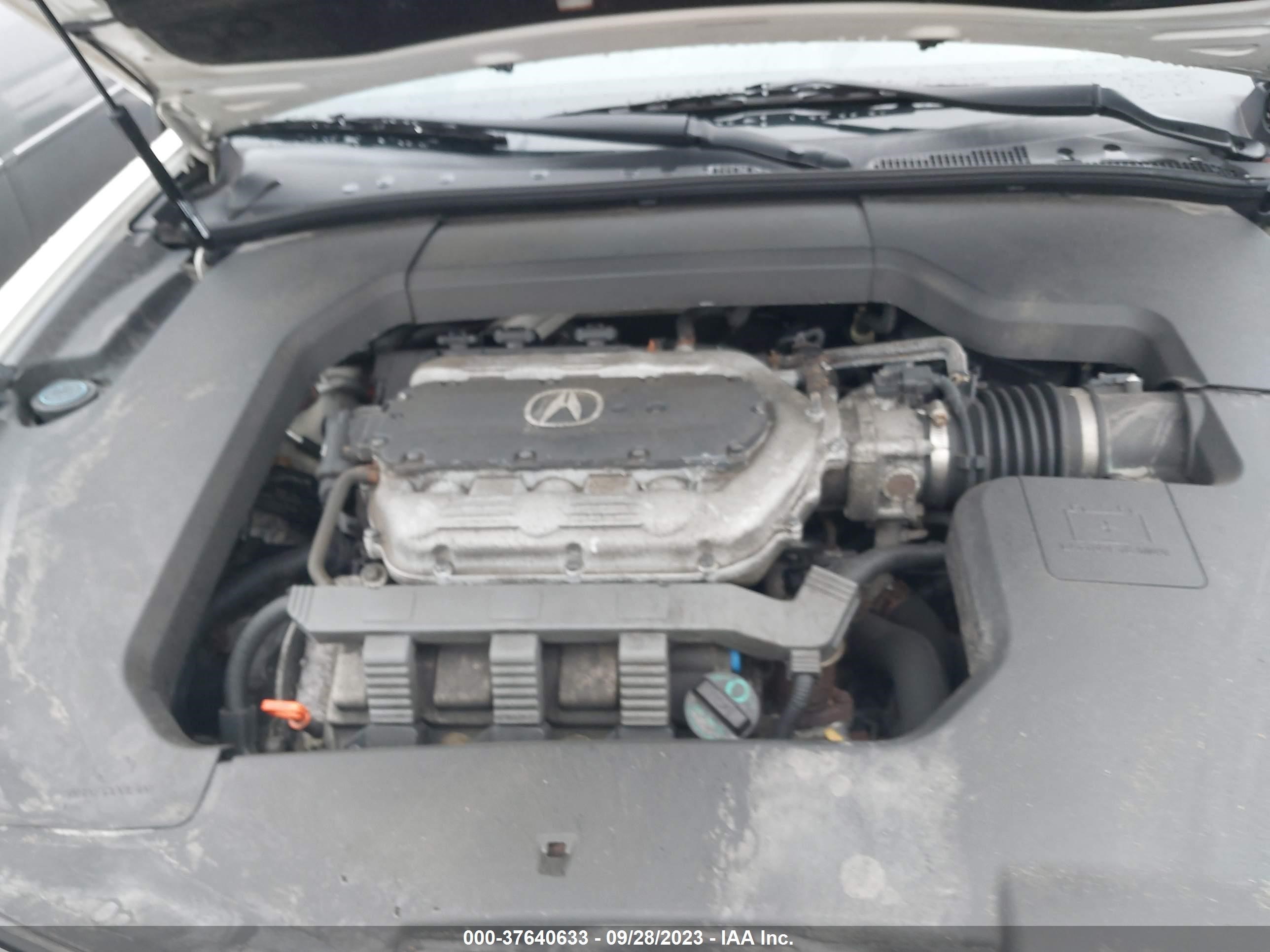 Photo 9 VIN: 19UUA9F71DA000016 - ACURA TL 