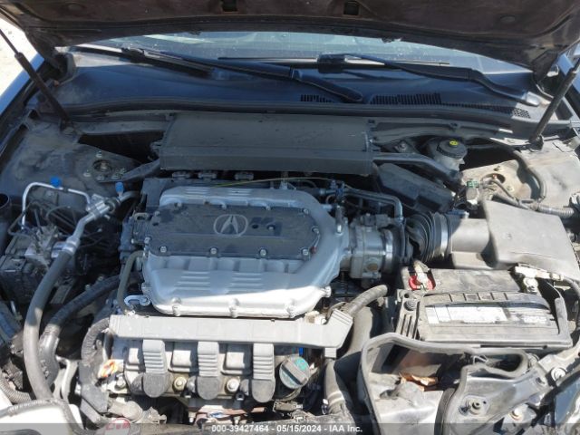 Photo 9 VIN: 19UUA9F71DA000789 - ACURA TL 