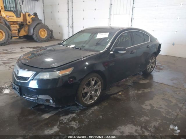 Photo 1 VIN: 19UUA9F75CA012135 - ACURA TL 