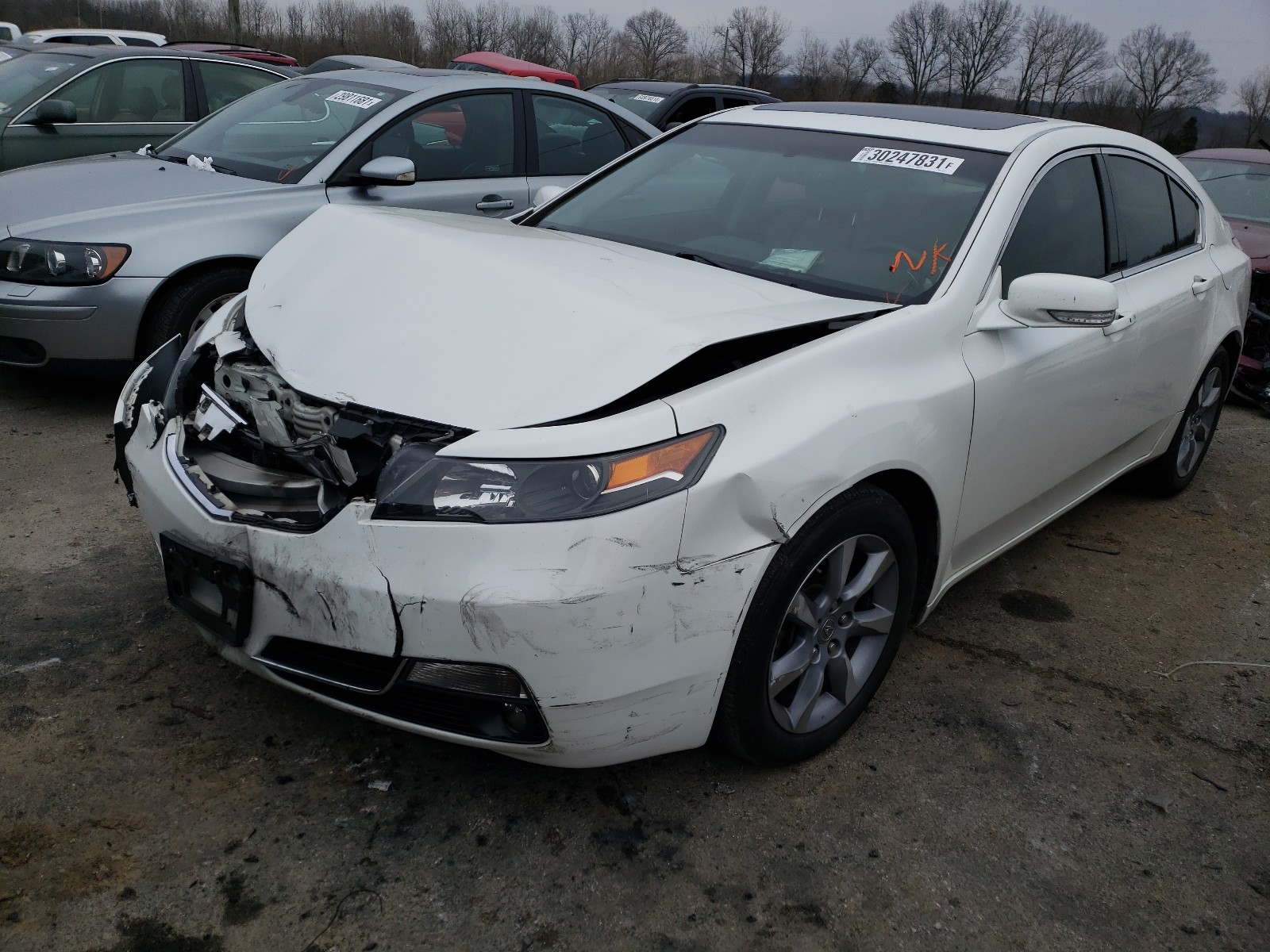 Photo 1 VIN: 19UUA9F75EA001137 - ACURA TL ADVANCE 