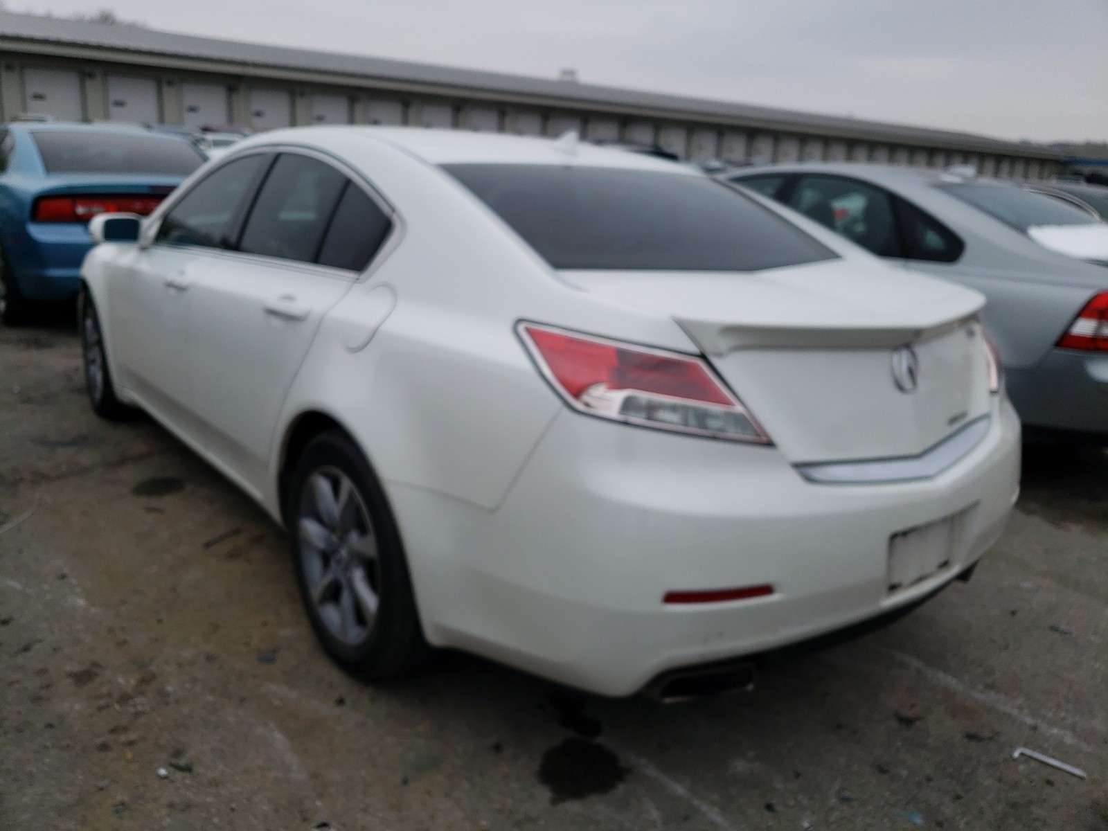 Photo 2 VIN: 19UUA9F75EA001137 - ACURA TL ADVANCE 