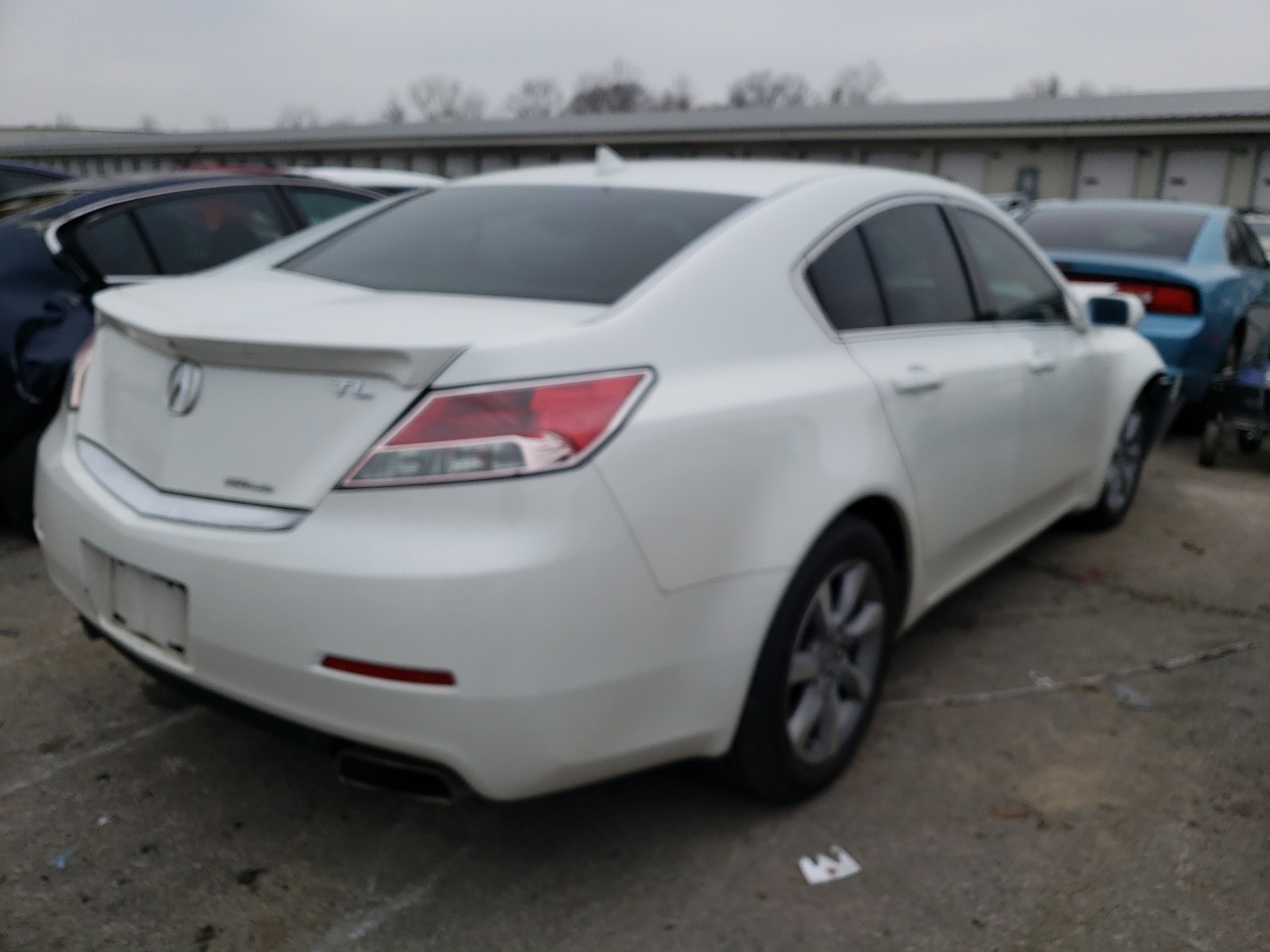 Photo 3 VIN: 19UUA9F75EA001137 - ACURA TL ADVANCE 