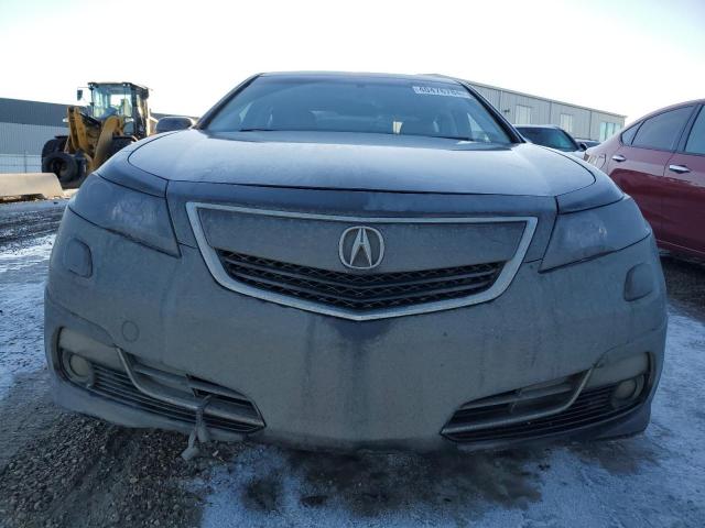 Photo 4 VIN: 19UUA9F78DA800585 - ACURA TL 