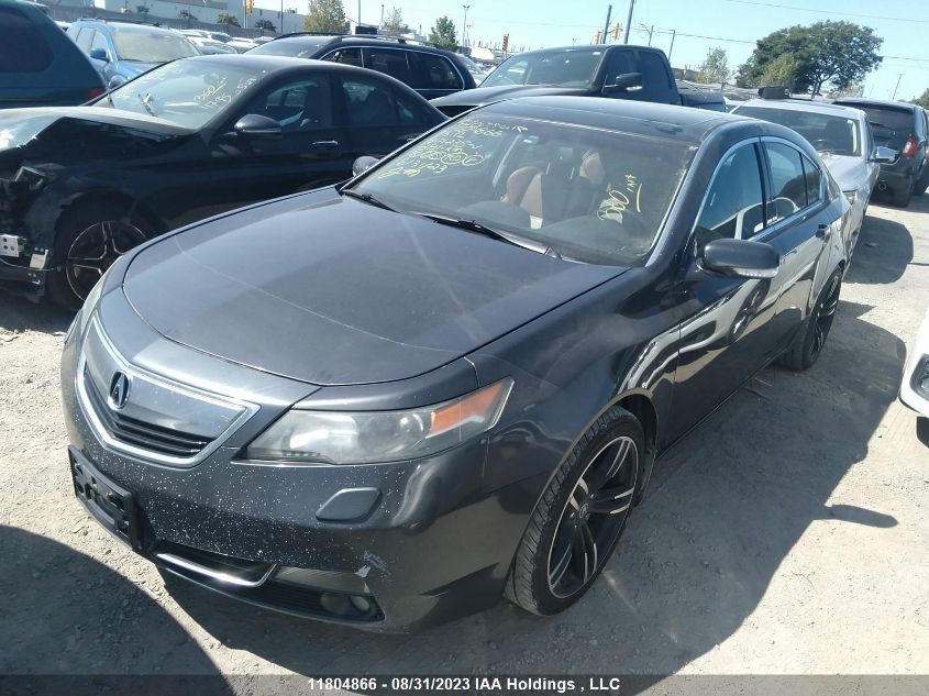 Photo 1 VIN: 19UUA9F78DA801235 - ACURA TL 