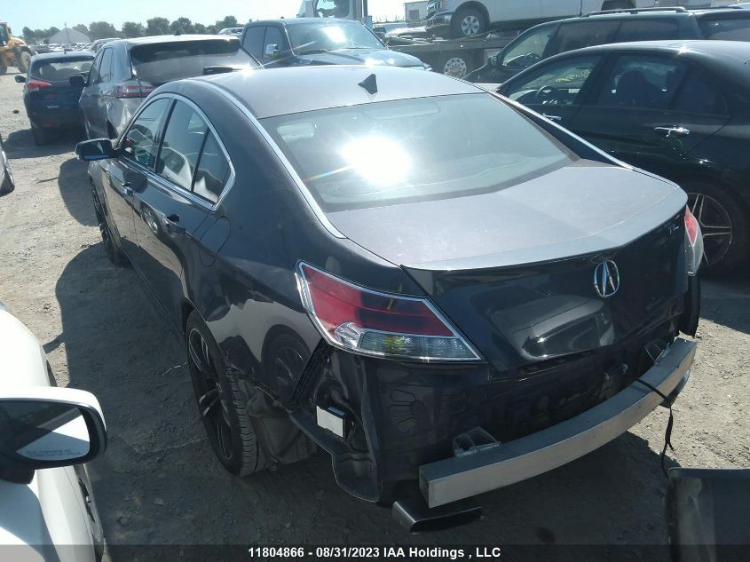 Photo 2 VIN: 19UUA9F78DA801235 - ACURA TL 